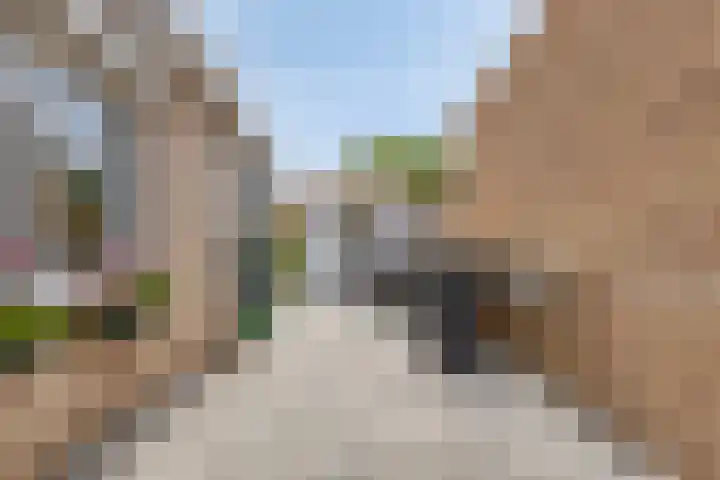 Appelmeet 34 Burgh-Haamstede thumbnail 48