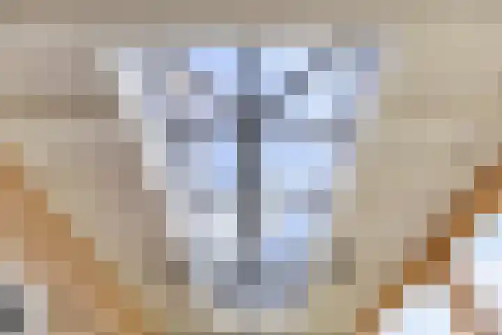Appelmeet 34 Burgh-Haamstede thumbnail 49