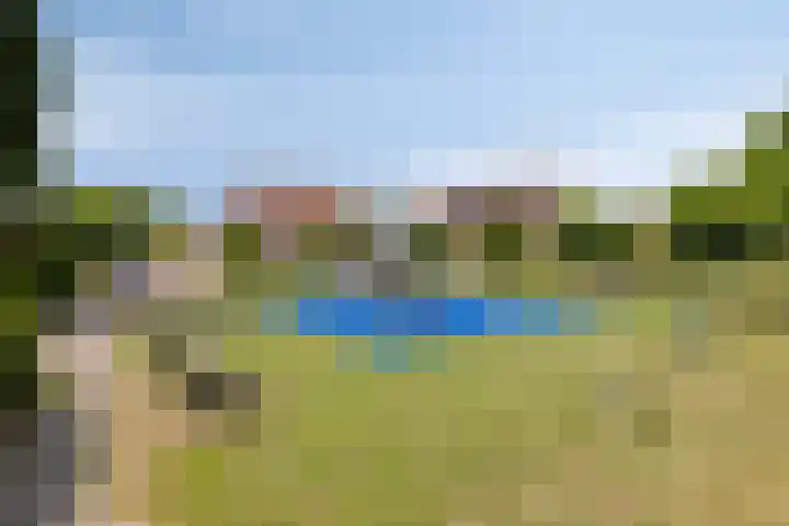 Appelmeet 34 Burgh-Haamstede thumbnail 50