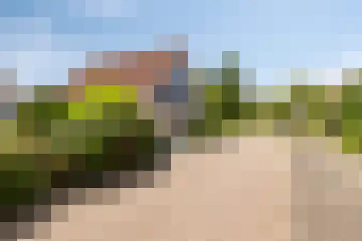 Appelmeet 34 Burgh-Haamstede thumbnail 56
