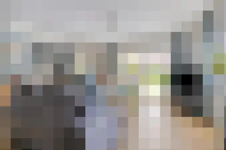 Appelmeet 34 Burgh-Haamstede thumbnail 8