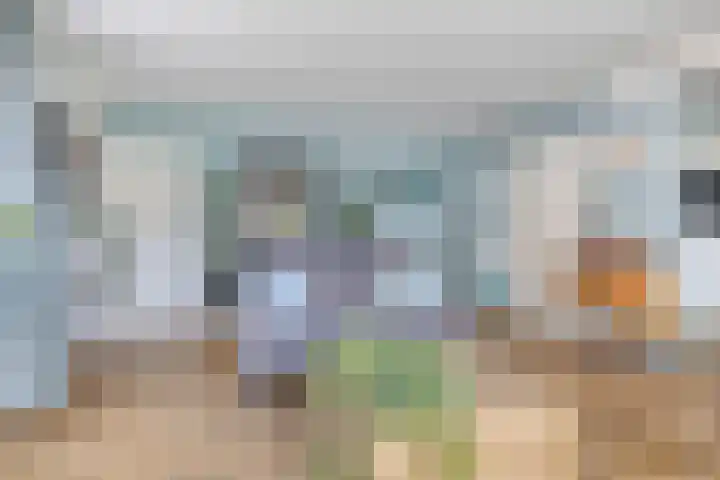 Appelmeet 34 Burgh-Haamstede thumbnail 9