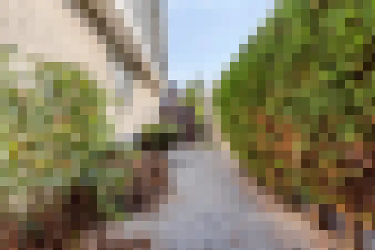 Appelmeet 36 Burgh-Haamstede thumbnail 31
