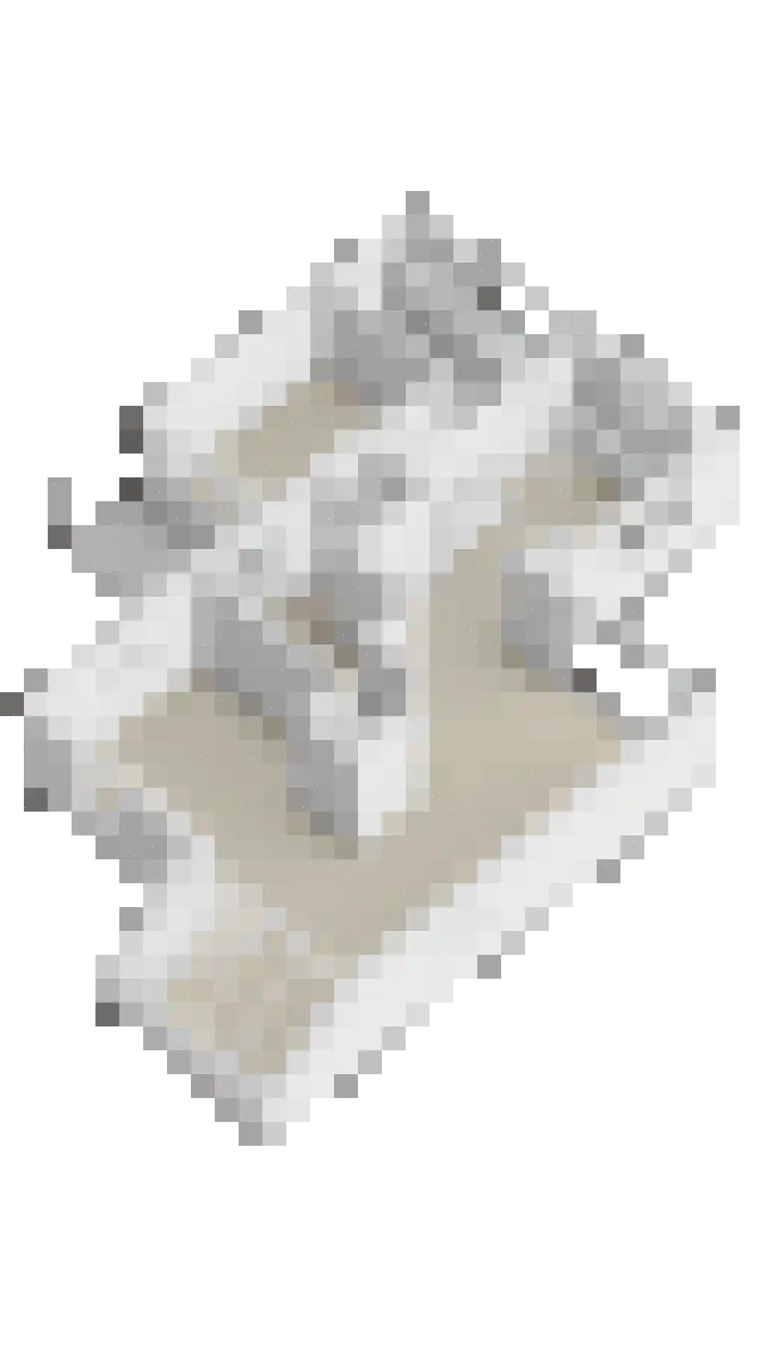 Appelmeet 36 Burgh-Haamstede thumbnail 37