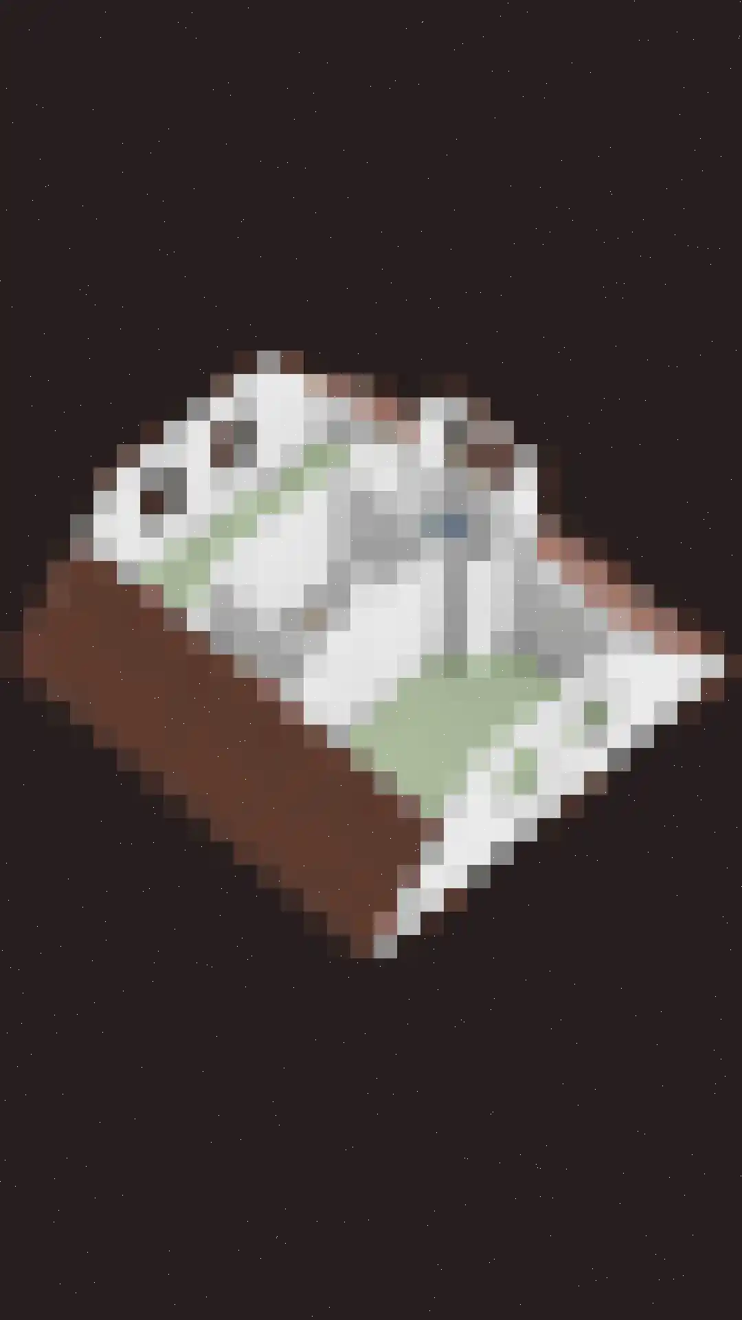 Appelmeet 36 Burgh-Haamstede thumbnail 39