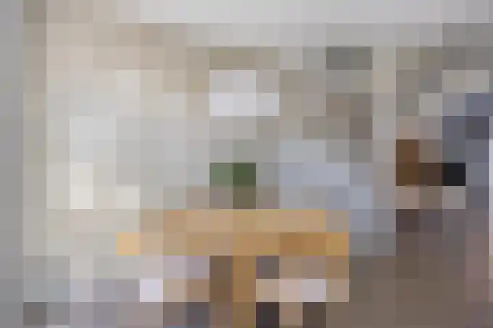 Appels en perenpad 11 Zuidoostbeemster thumbnail 11