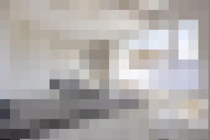 Appels en perenpad 11 Zuidoostbeemster thumbnail 15
