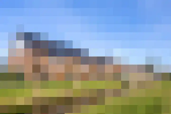 Appels en perenpad 11 Zuidoostbeemster thumbnail 33