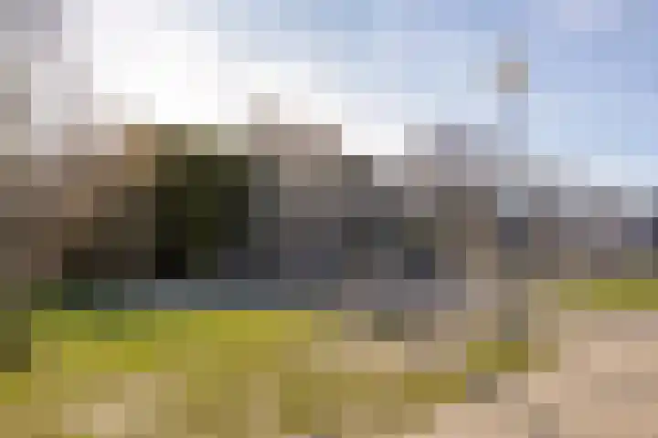 Appels en perenpad 11 Zuidoostbeemster thumbnail 34