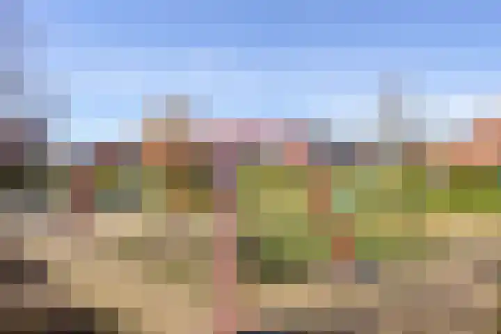 Appels en perenpad 11 Zuidoostbeemster thumbnail 36