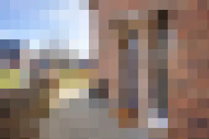 Appels en perenpad 11 Zuidoostbeemster thumbnail 5