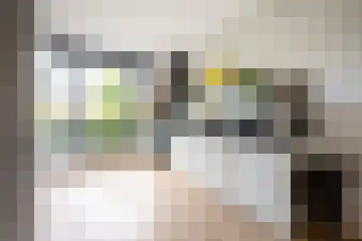 Appels en perenpad 13 Zuidoostbeemster thumbnail 18