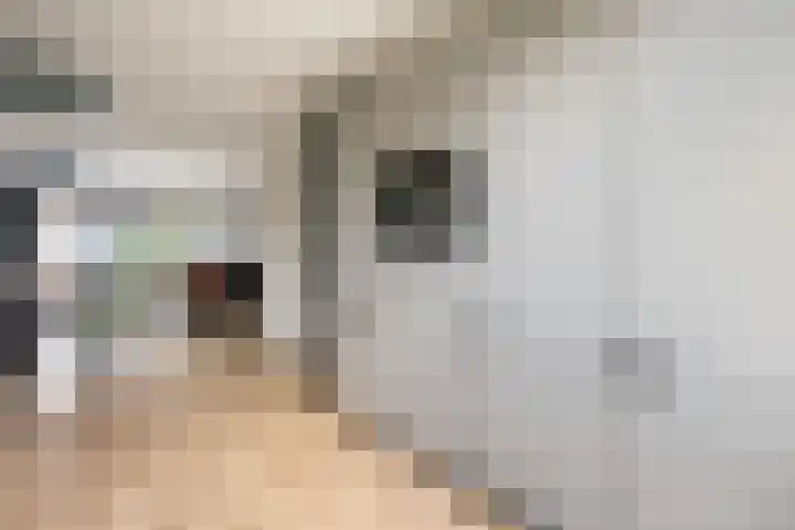 Appels en perenpad 13 Zuidoostbeemster thumbnail 21