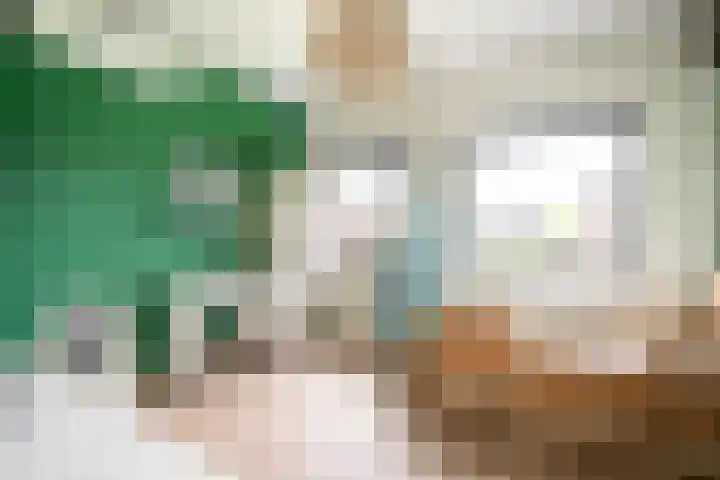 Appels en perenpad 13 Zuidoostbeemster thumbnail 23