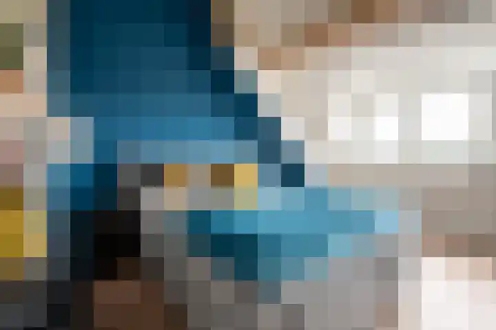 Appels en perenpad 13 Zuidoostbeemster thumbnail 31