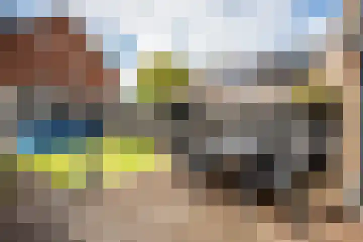 Appels en perenpad 13 Zuidoostbeemster thumbnail 35