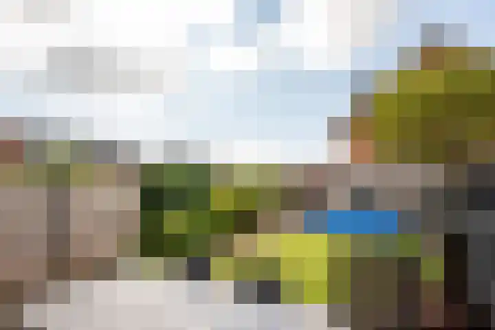 Appels en perenpad 13 Zuidoostbeemster thumbnail 37