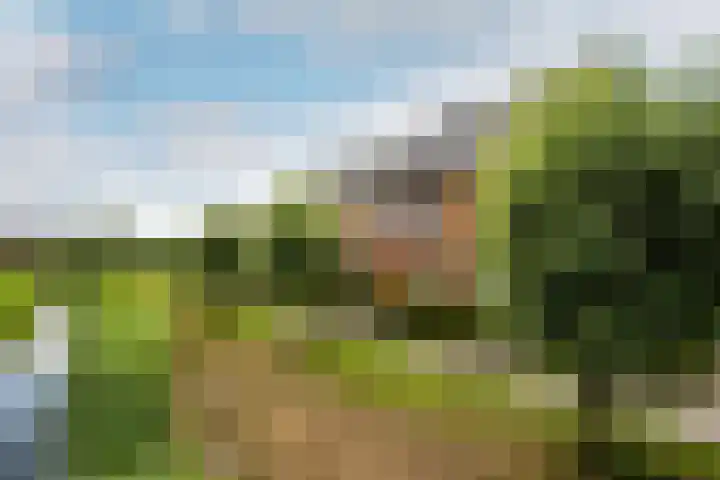 Appels en perenpad 13 Zuidoostbeemster thumbnail 39
