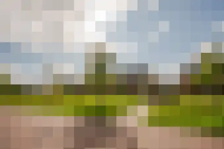 Appels en perenpad 13 Zuidoostbeemster thumbnail 4