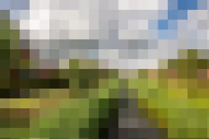 Appels en perenpad 13 Zuidoostbeemster thumbnail 40