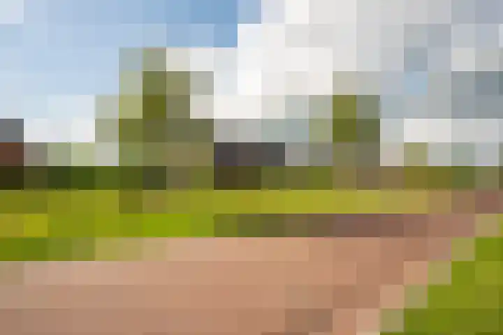 Appels en perenpad 13 Zuidoostbeemster thumbnail 41