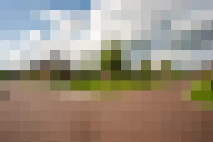 Appels en perenpad 13 Zuidoostbeemster thumbnail 42