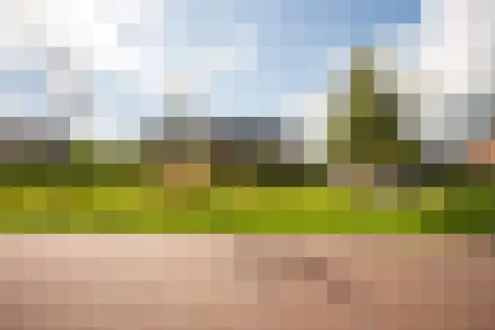 Appels en perenpad 13 Zuidoostbeemster thumbnail 43