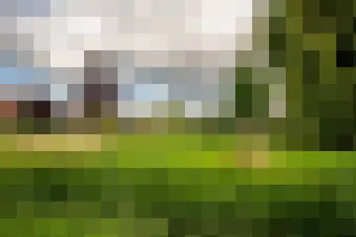 Appels en perenpad 13 Zuidoostbeemster thumbnail 44