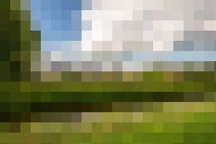 Appels en perenpad 13 Zuidoostbeemster thumbnail 45