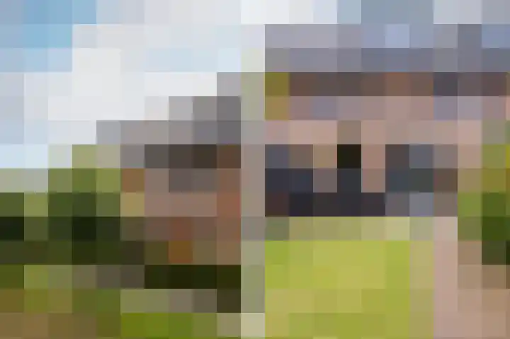 Appels en perenpad 13 Zuidoostbeemster thumbnail 5