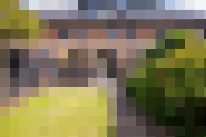 Appels en perenpad 13 Zuidoostbeemster thumbnail 54