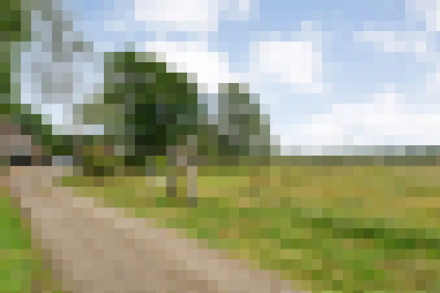 Appelschaseweg 2 Wateren thumbnail 10