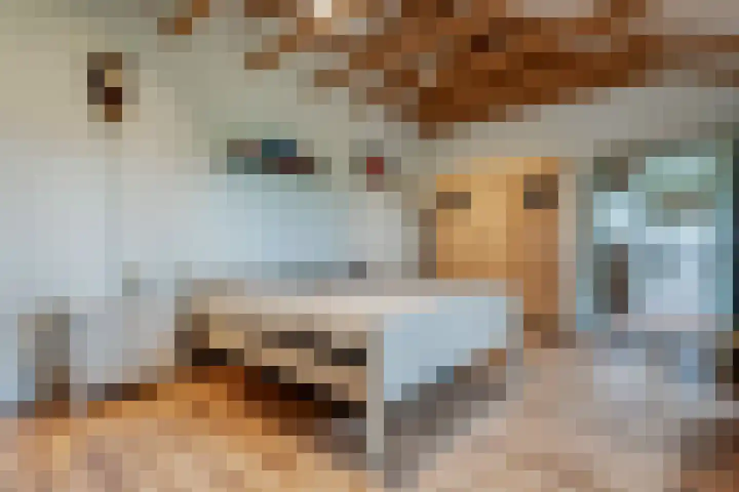 Appelschaseweg 2 Wateren thumbnail 15