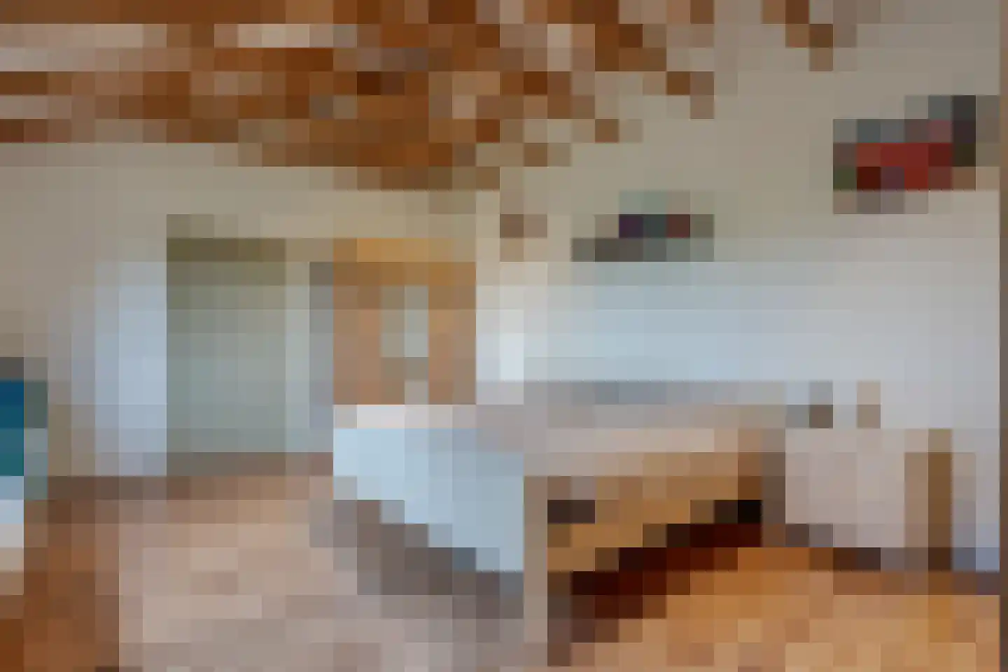 Appelschaseweg 2 Wateren thumbnail 18