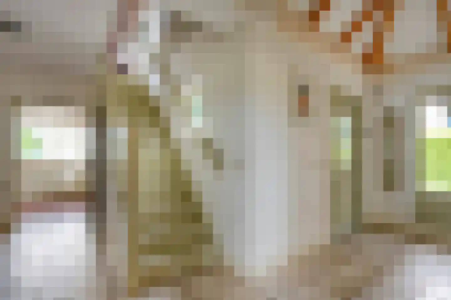 Appelschaseweg 2 Wateren thumbnail 18