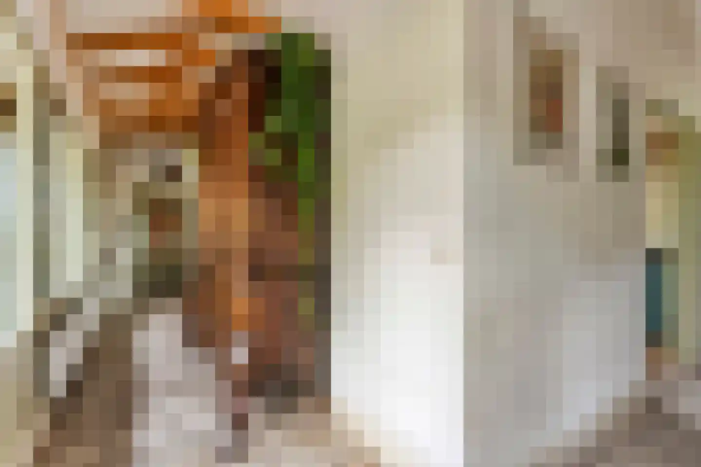 Appelschaseweg 2 Wateren thumbnail 19