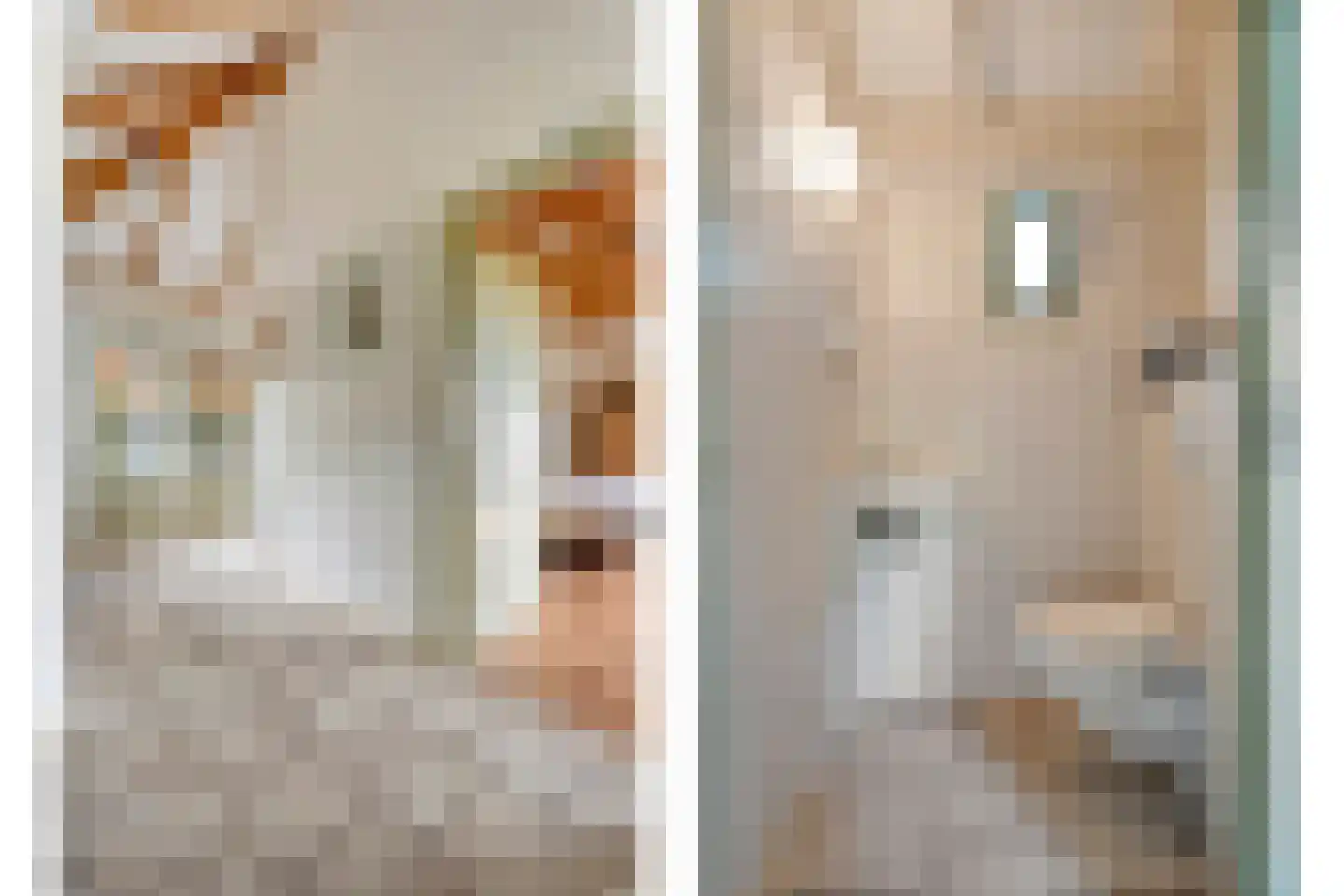 Appelschaseweg 2 Wateren thumbnail 20