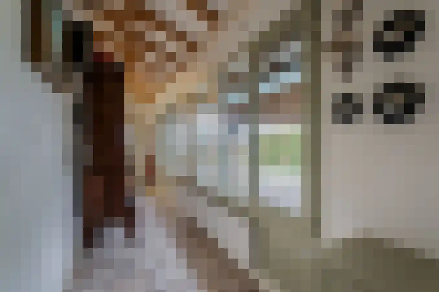 Appelschaseweg 2 Wateren thumbnail 23