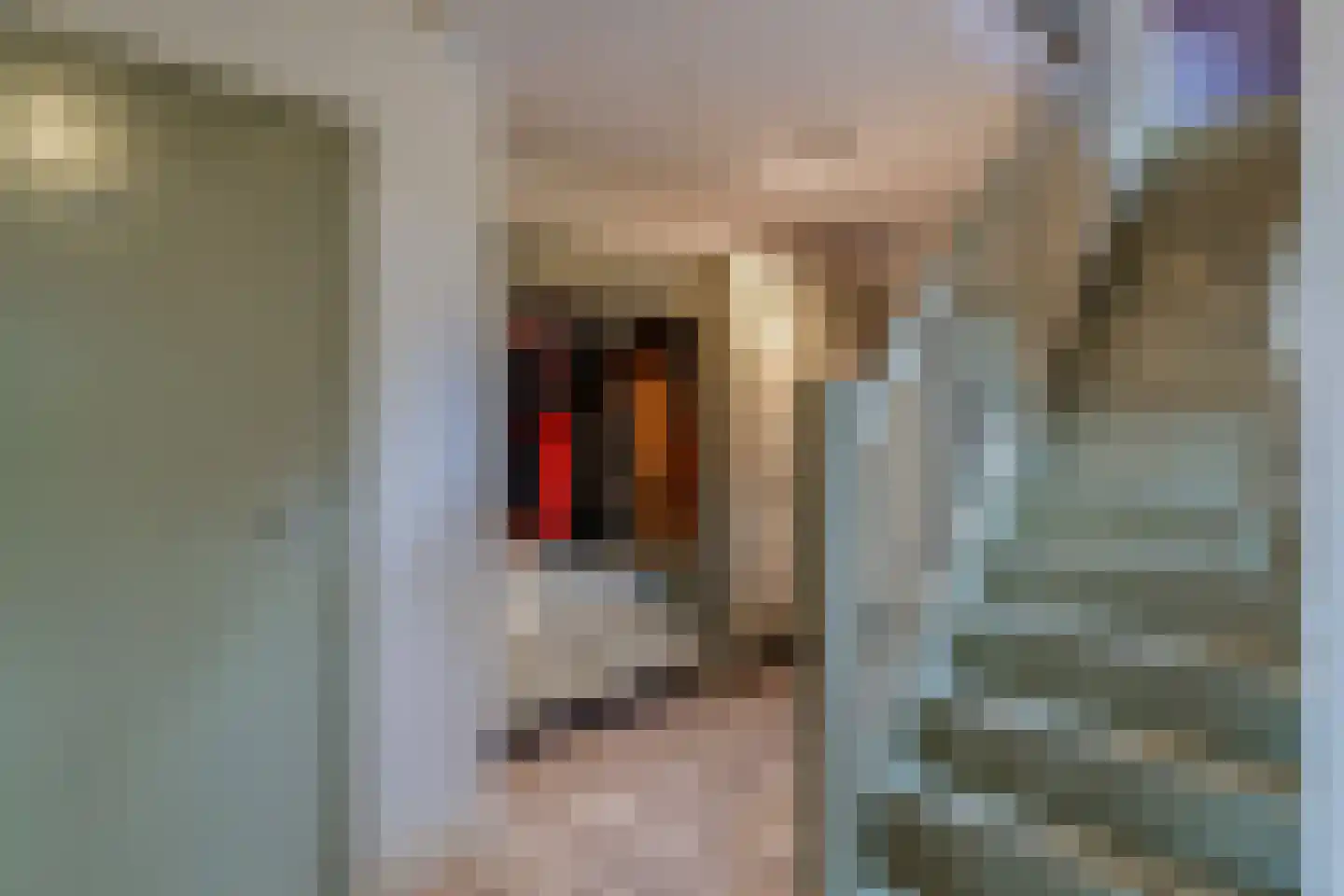 Appelschaseweg 2 Wateren thumbnail 27