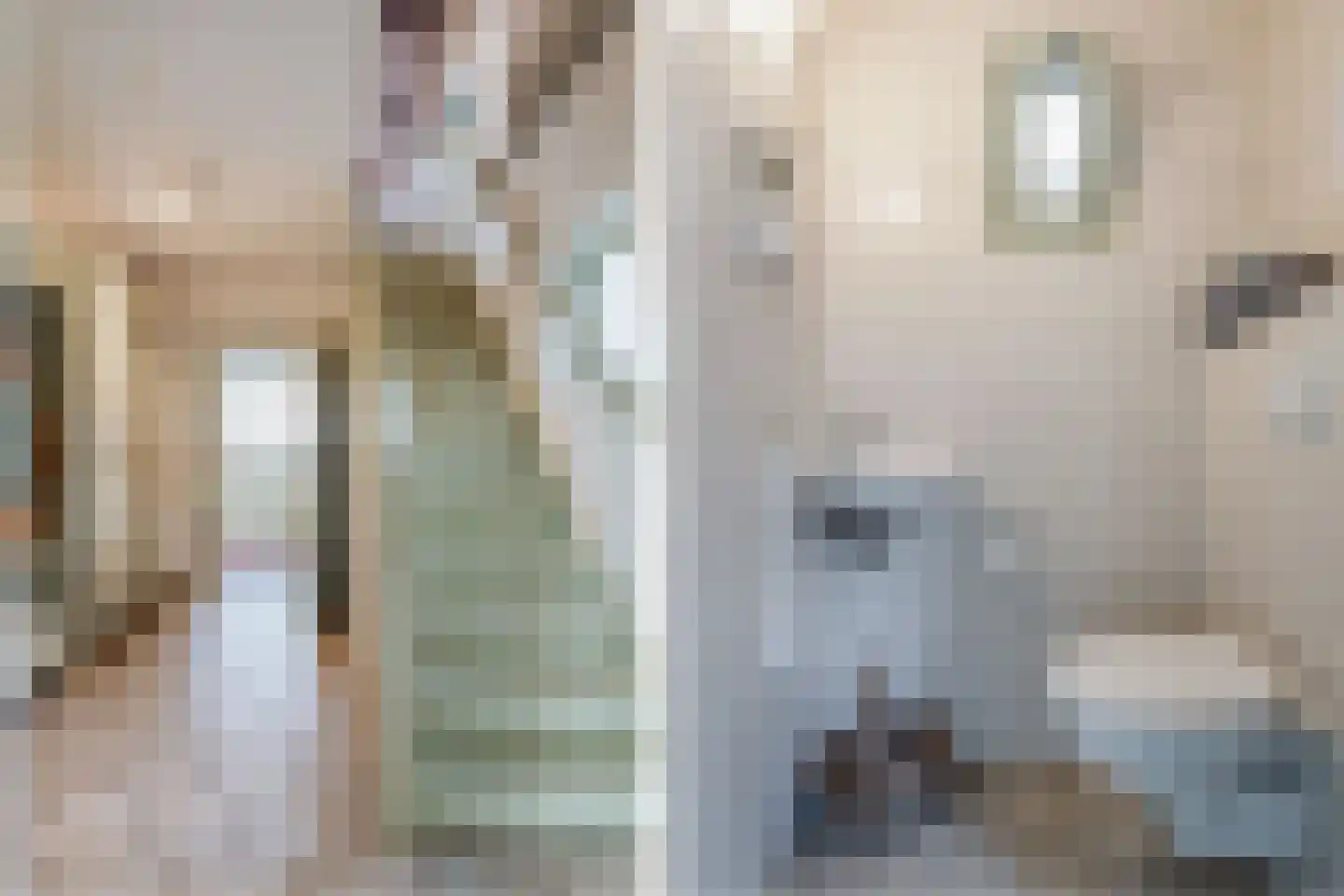 Appelschaseweg 2 Wateren thumbnail 28