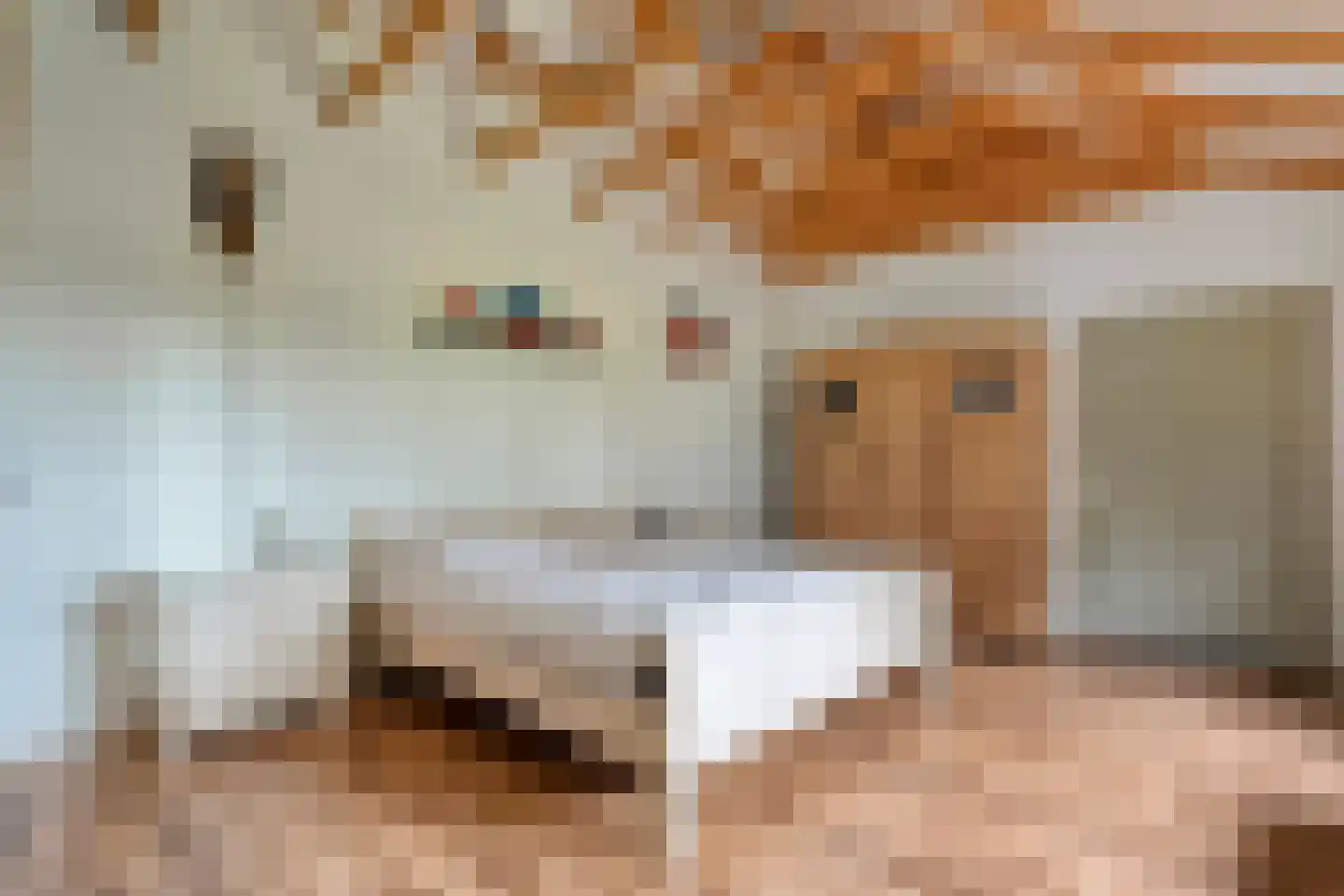 Appelschaseweg 2 Wateren thumbnail 29