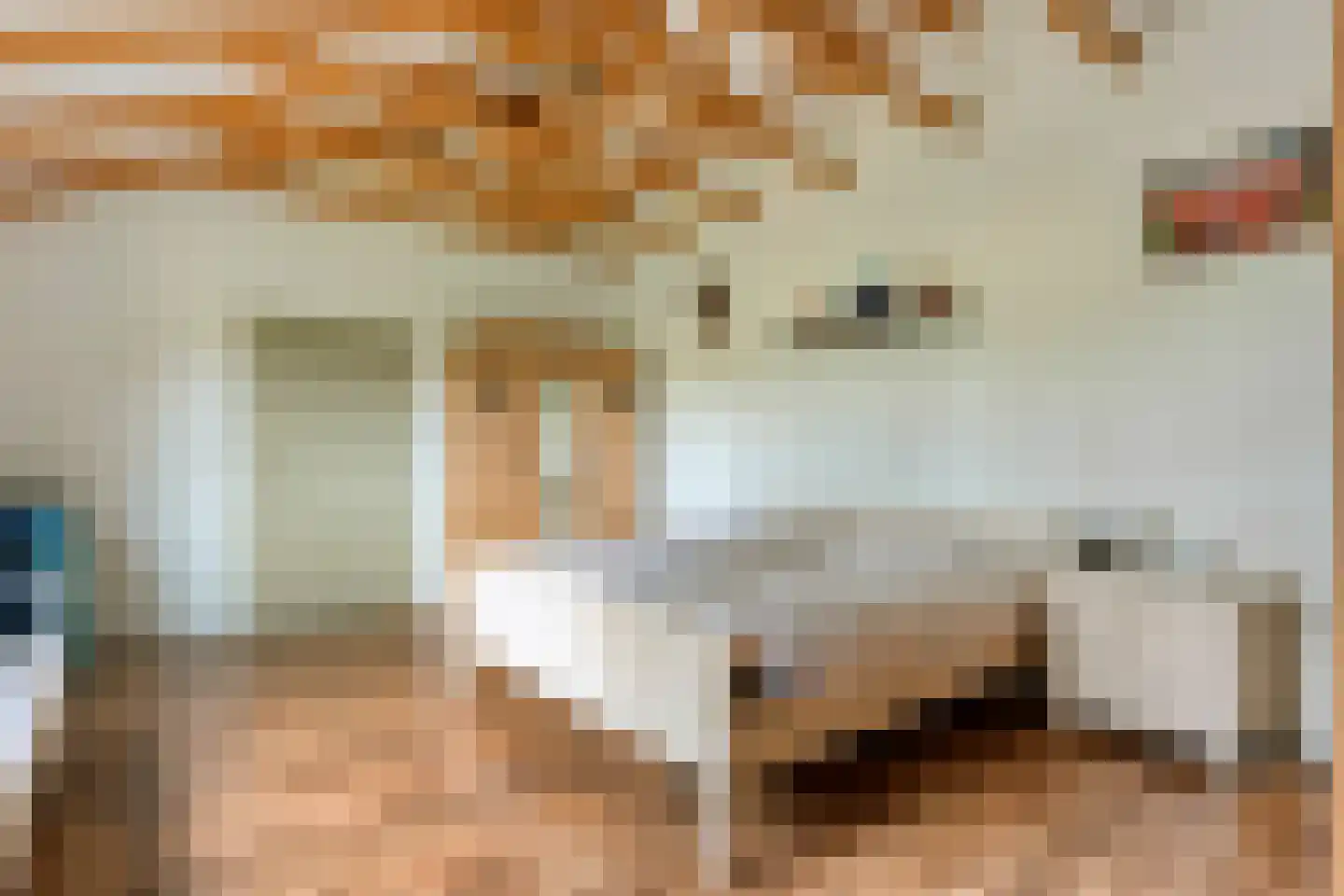 Appelschaseweg 2 Wateren thumbnail 31