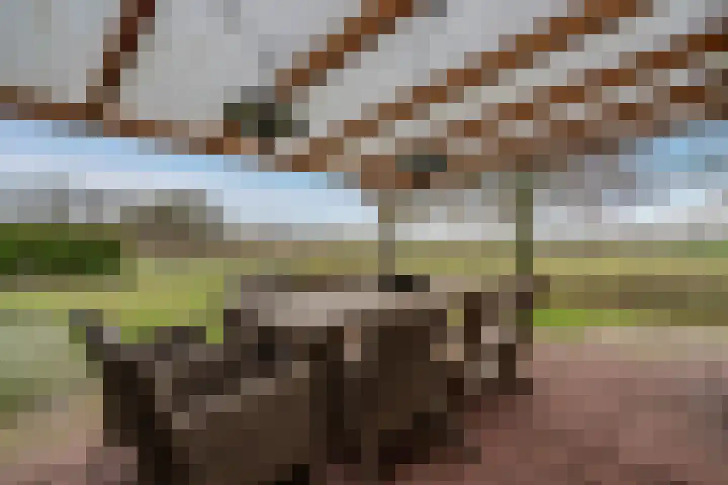 Appelschaseweg 2 Wateren thumbnail 32