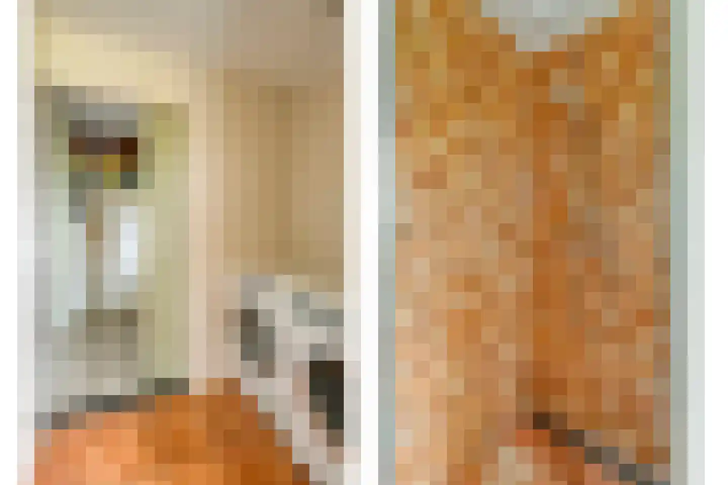 Appelschaseweg 2 Wateren thumbnail 33