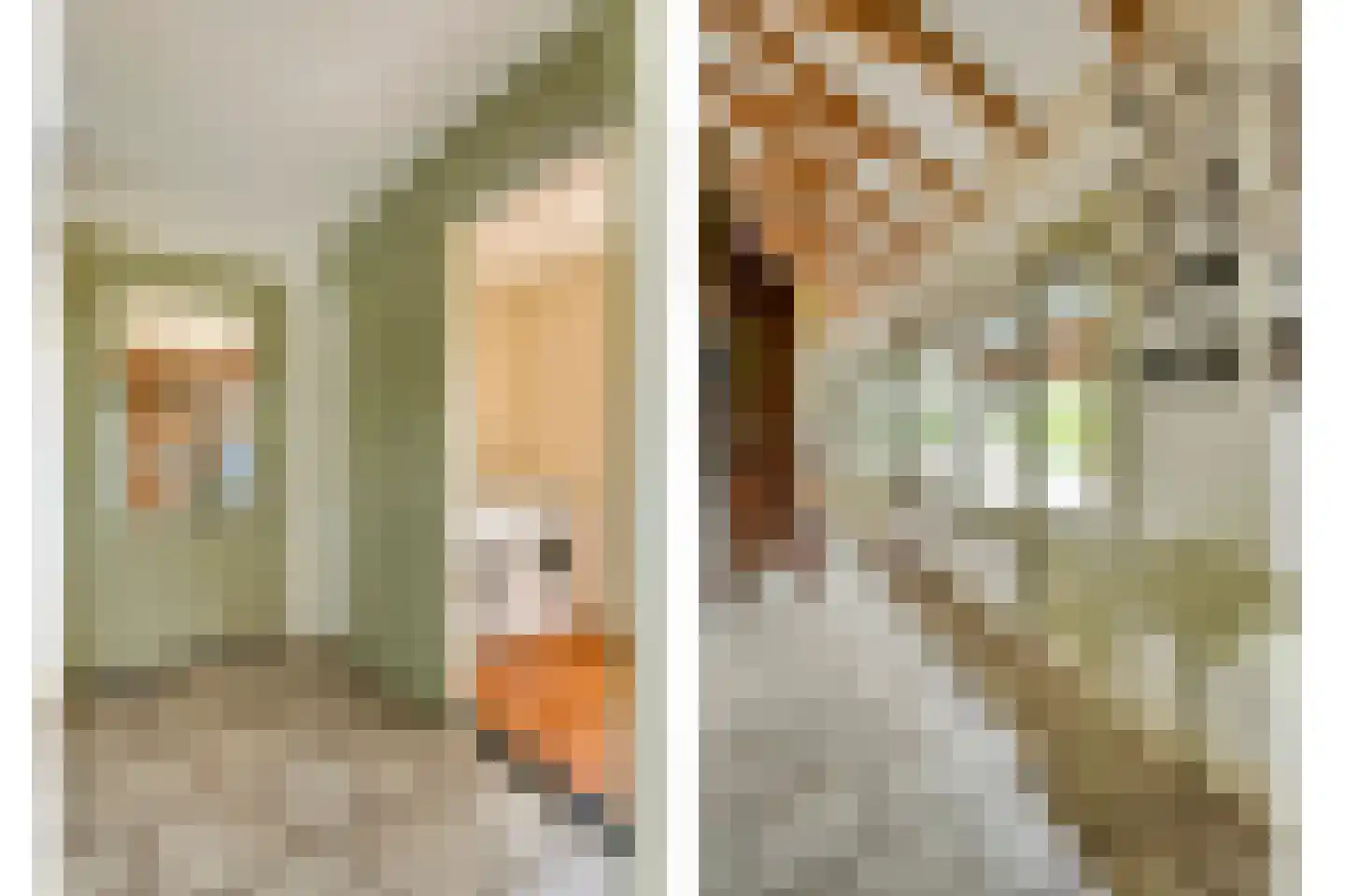 Appelschaseweg 2 Wateren thumbnail 34