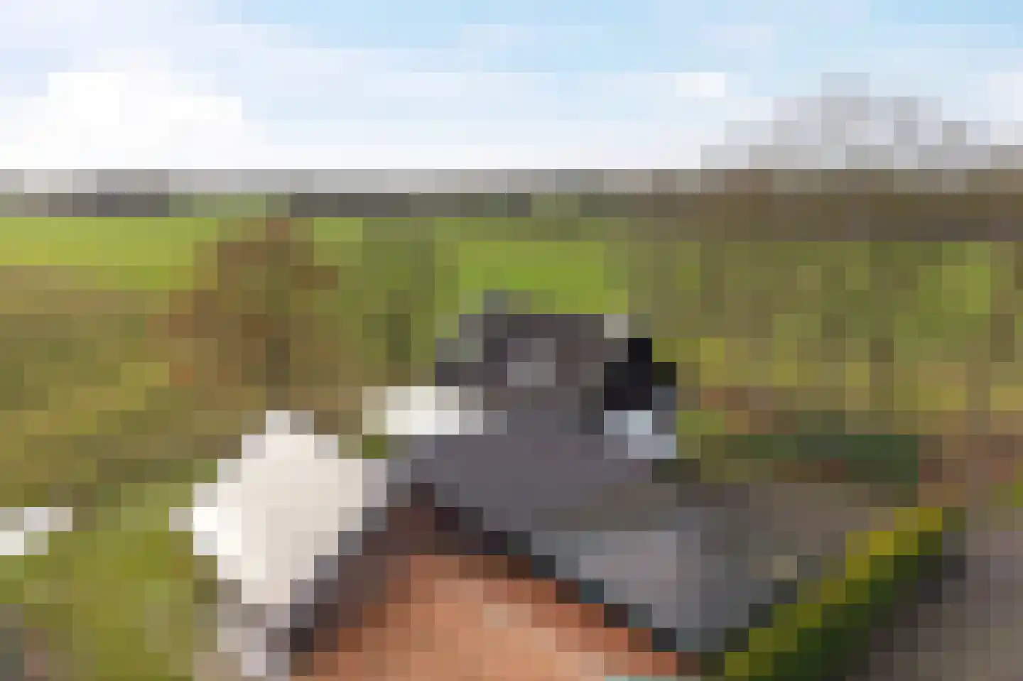 Appelschaseweg 2 Wateren thumbnail 43