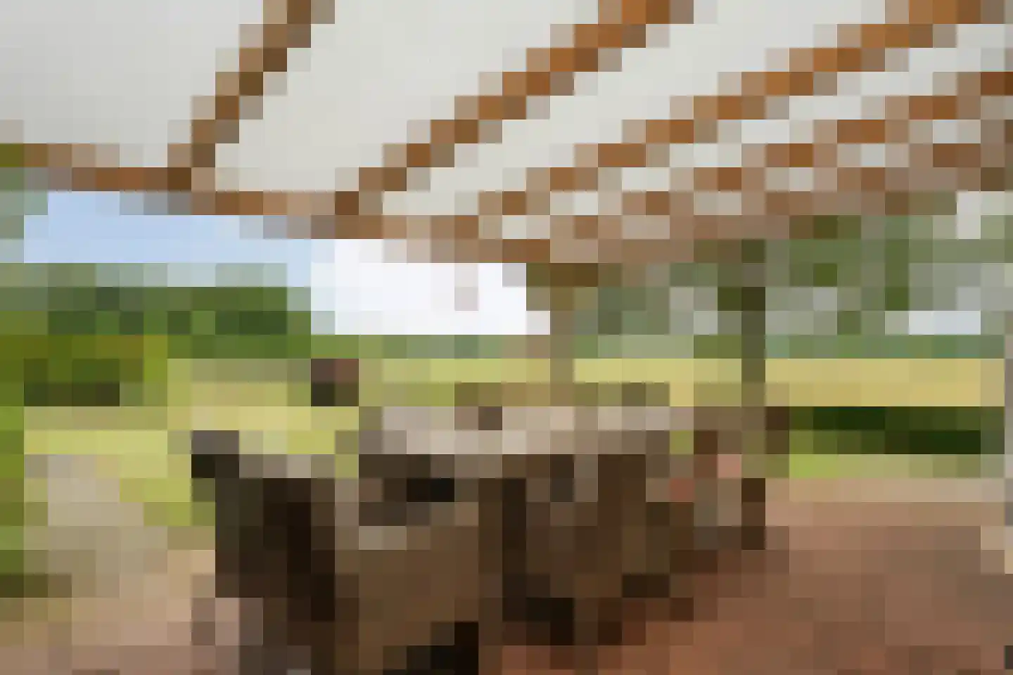 Appelschaseweg 2 Wateren thumbnail 44
