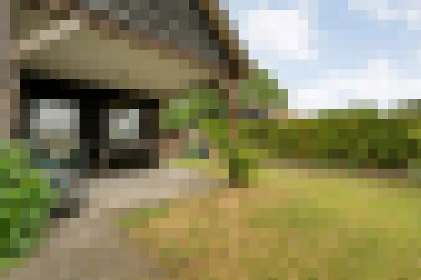 Appelschaseweg 2 Wateren thumbnail 45