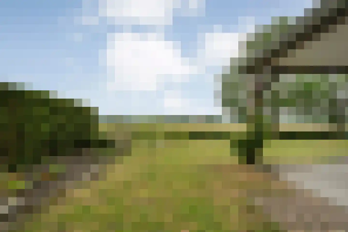 Appelschaseweg 2 Wateren thumbnail 48
