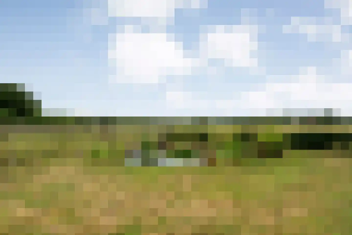 Appelschaseweg 2 Wateren thumbnail 49